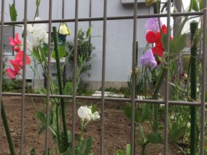 img-3494