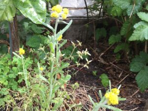 img-3495