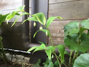 img-3499