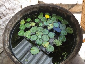 img-3897