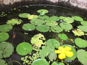 img-3898