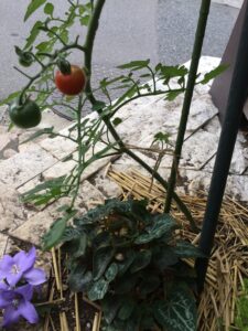 img-4170