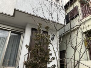 img_8465